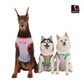 OKTK Dog Clothes Hawaiian Summer Cooling Sleeveless Summer Clothes Medium Dog Large Dog Pet Dog Okidoki